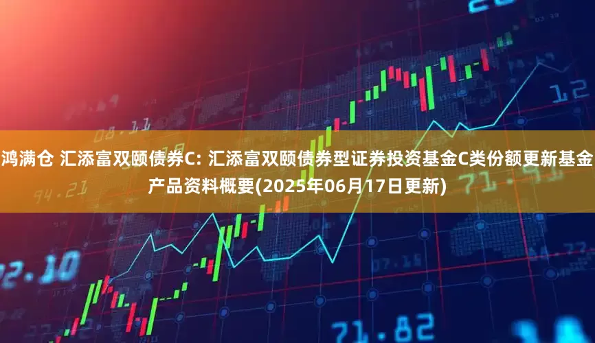 鸿满仓 汇添富双颐债券C: 汇添富双颐债券型证券投资基金C类份额更新基金产品资料概要(2025年06月17日更新)