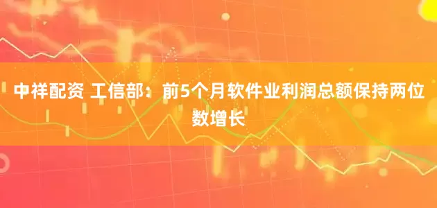 中祥配资 工信部：前5个月软件业利润总额保持两位数增长