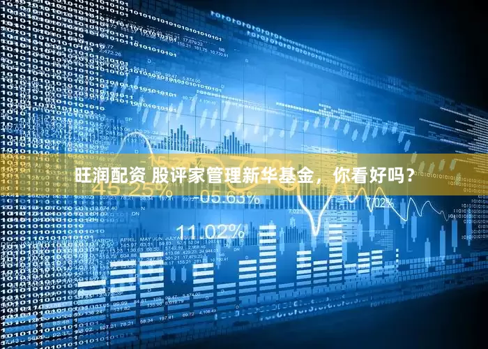 旺润配资 股评家管理新华基金，你看好吗？