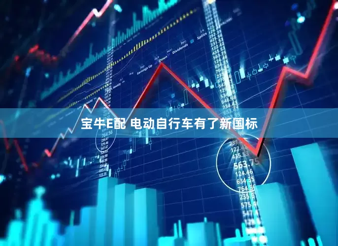 宝牛E配 电动自行车有了新国标