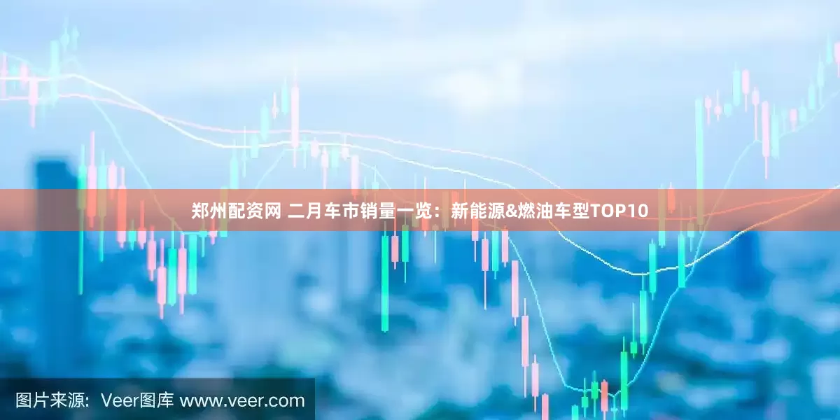 郑州配资网 二月车市销量一览:新能源&燃油车型TOP10